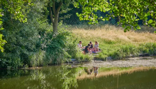 Bruchsee print cop2679 2.jpg