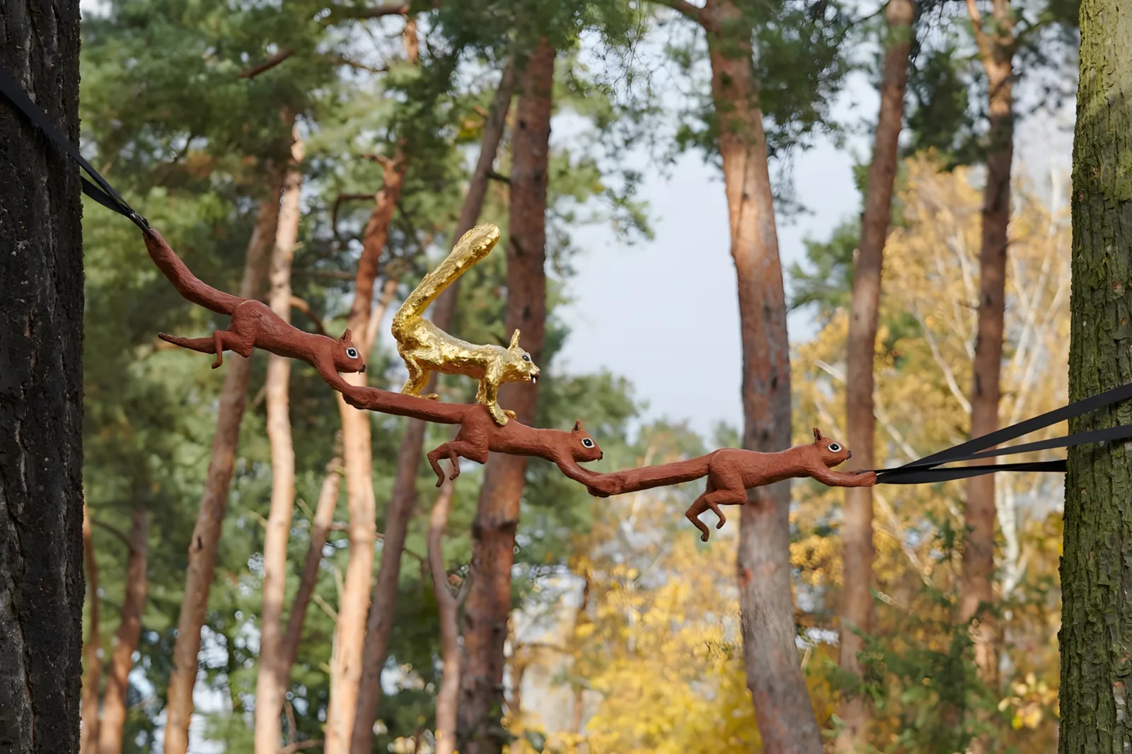 Der König der Eichhörnchen, Frankfurt