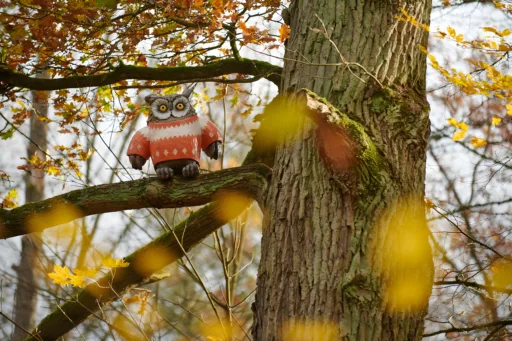 Gg komische kunst eule im norwegerpulli aeste herbst stefan cop