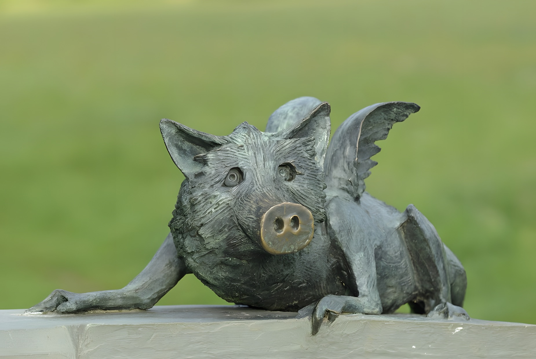 Komische Kunst – GrünGürtel-Tier