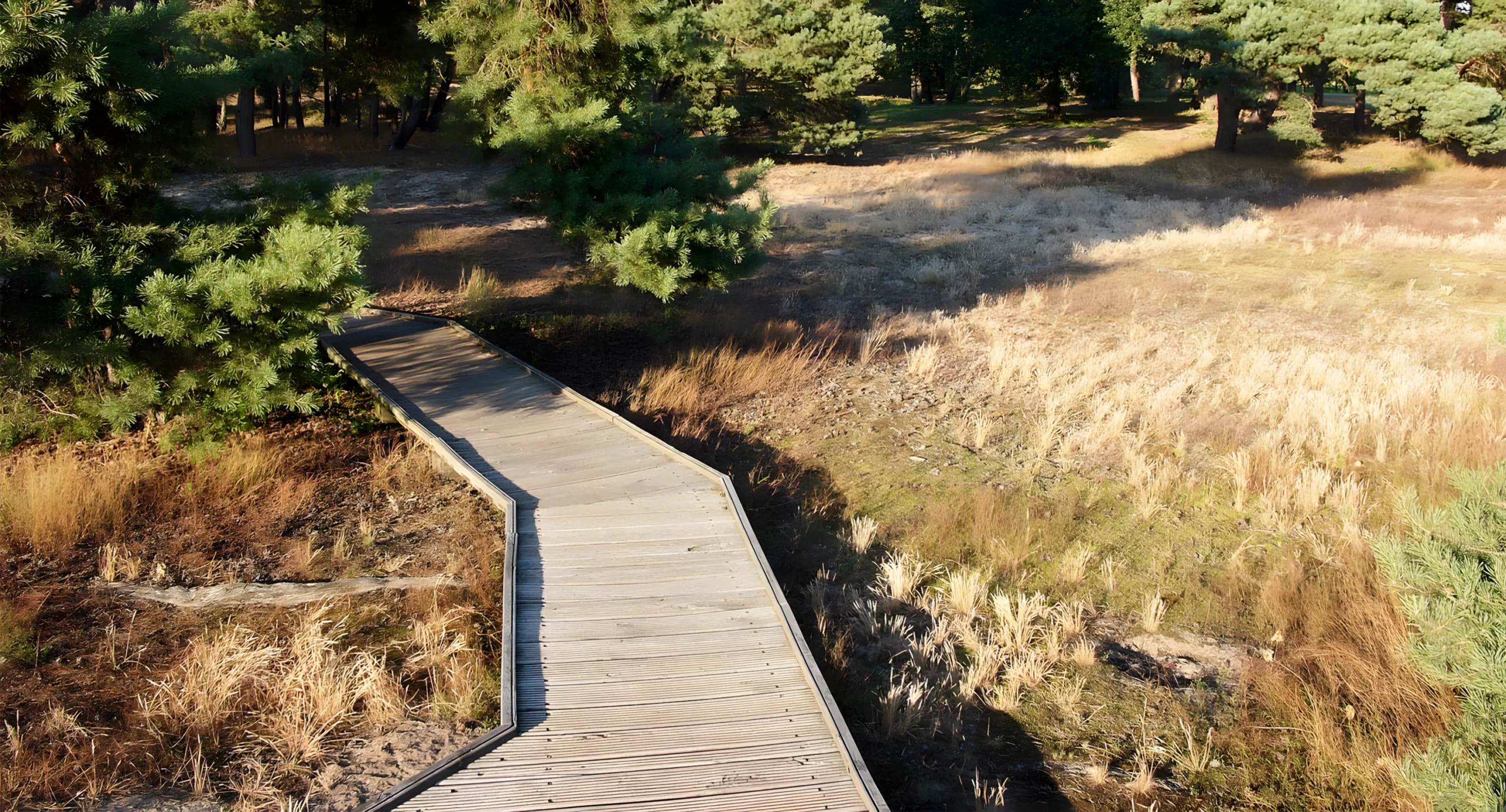 GrünGürtel-Radrundweg