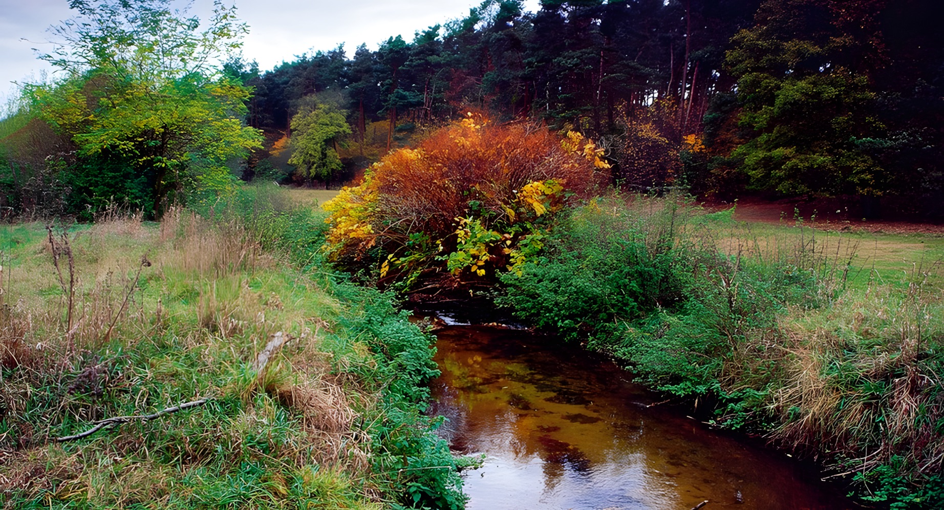 Grünzug Hengstbachaue, Neu – Isenburg