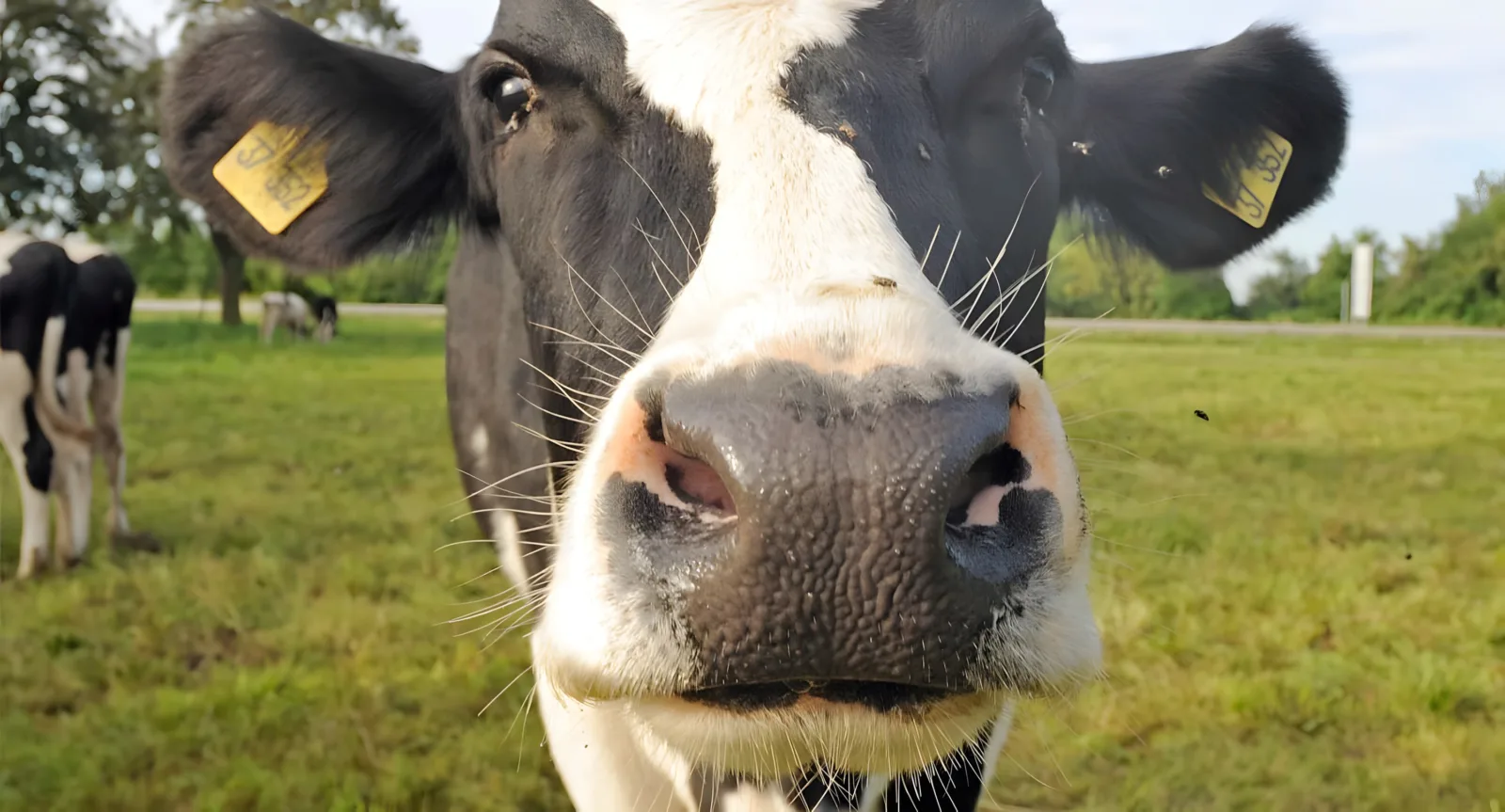 Hofstation Hof Lenhardt