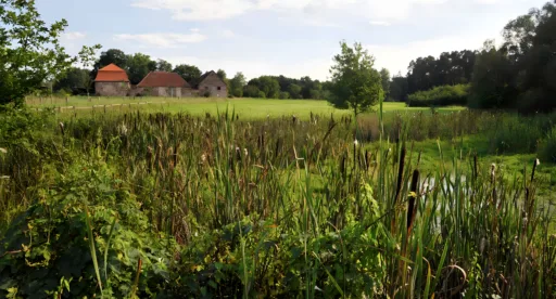 Hofgut patershausen hofstation main