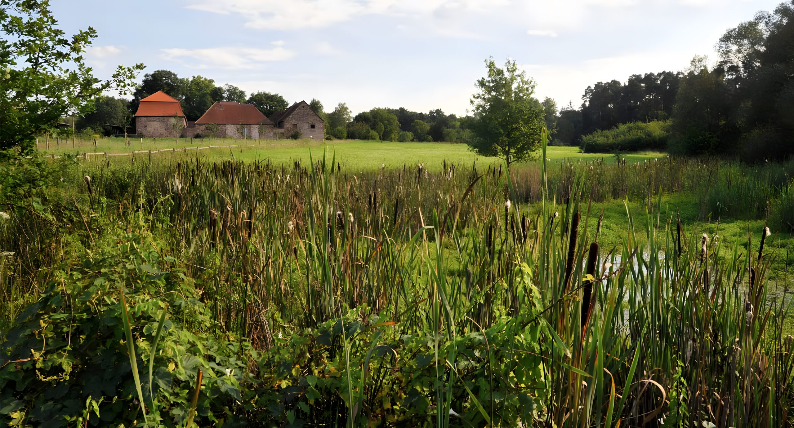 Hofgut patershausen hofstation main