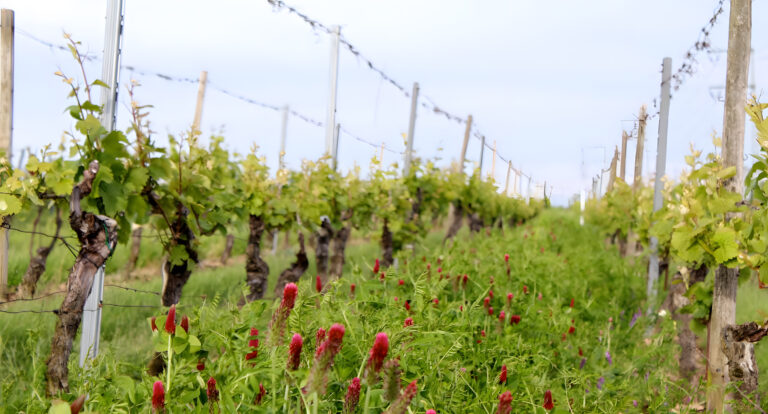 Johanneshof1 hofstation