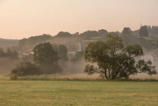 Kinzigauenroute 2024 07 25 063740 2 2.jpg