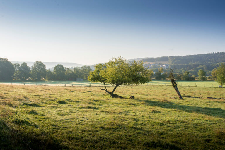 Kinzigauenroute 2024 07 29