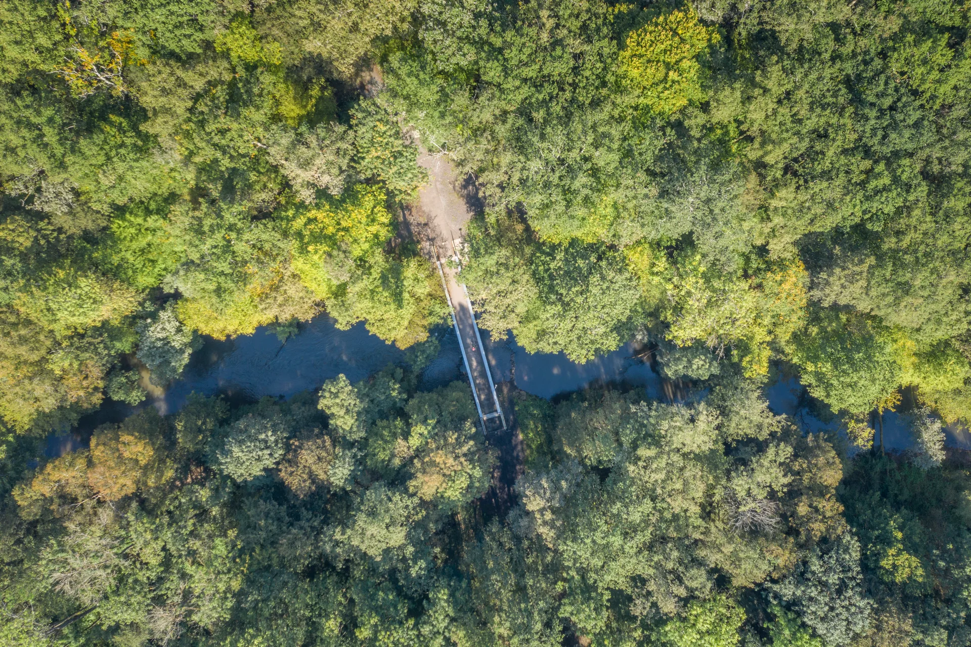 Kinzigauenroute 2024 09 20