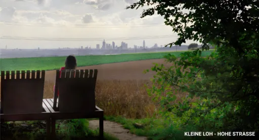 Kleine loh hohe strasse2