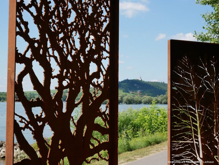 Lachaue regionalpark rhein