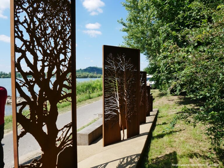 Lachaue regionalpark rhein
