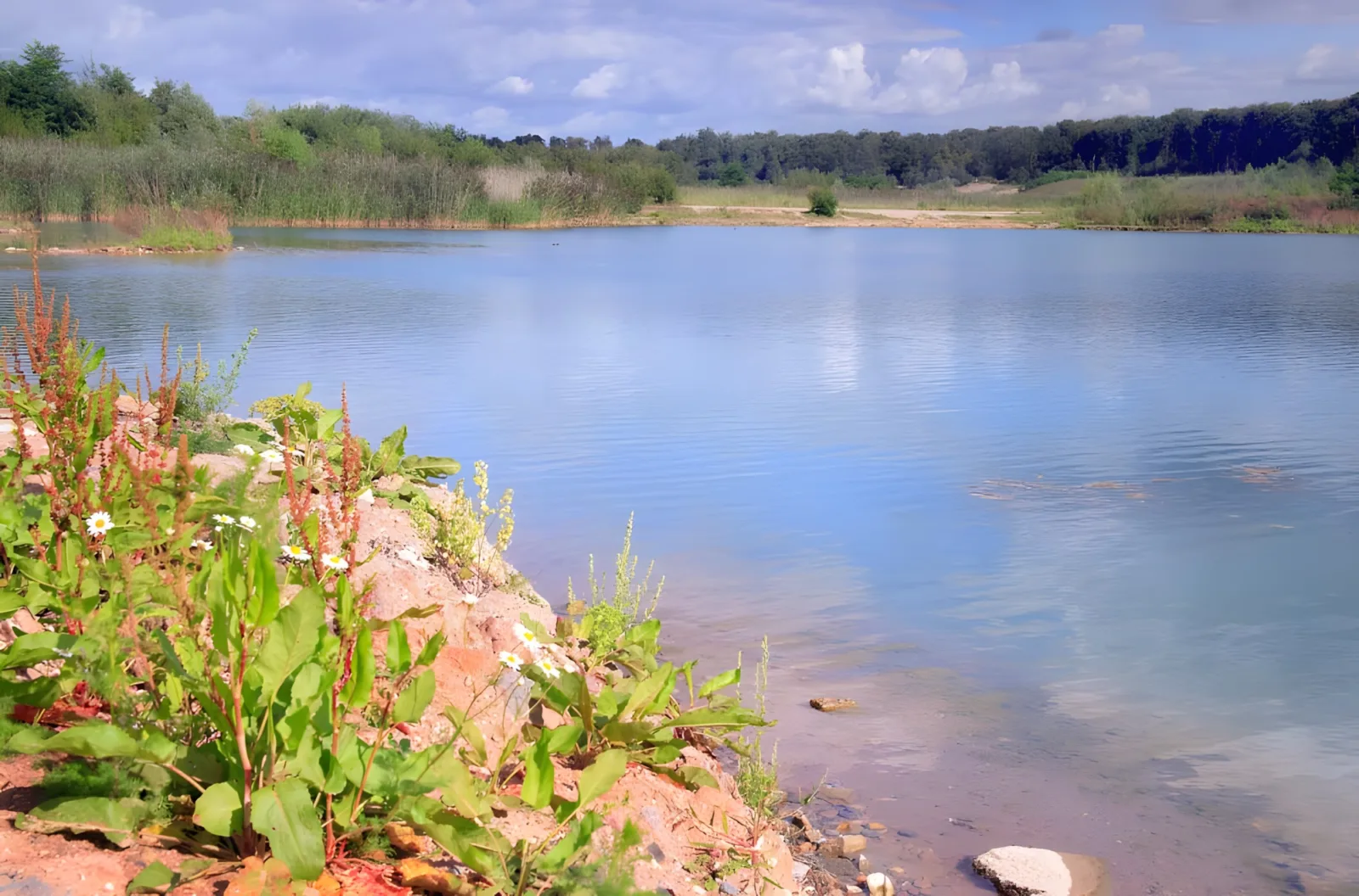Wanderung im Langener Wald
