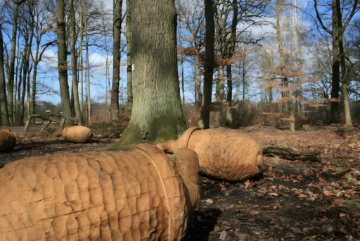 Monsterkinder schwanheimer wald ilka seeger
