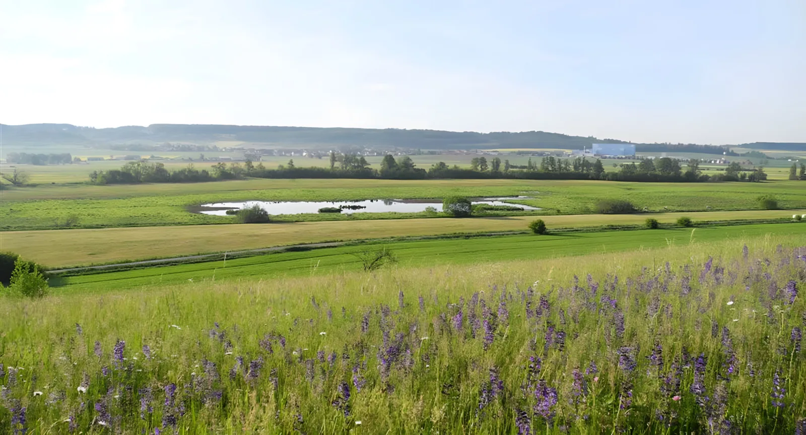 Nachtweid – Dauernheim