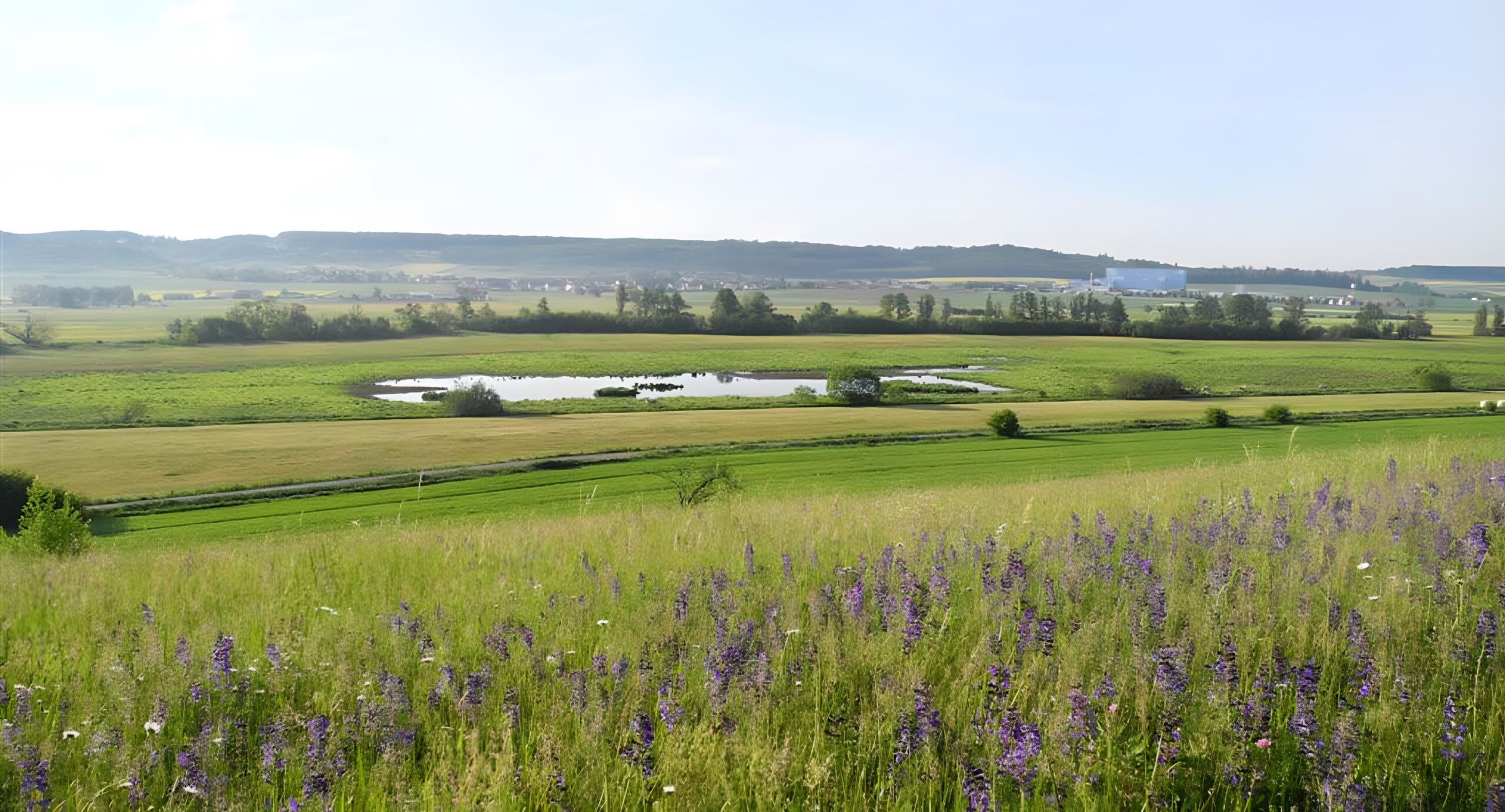 Nachtweid – Dauernheim