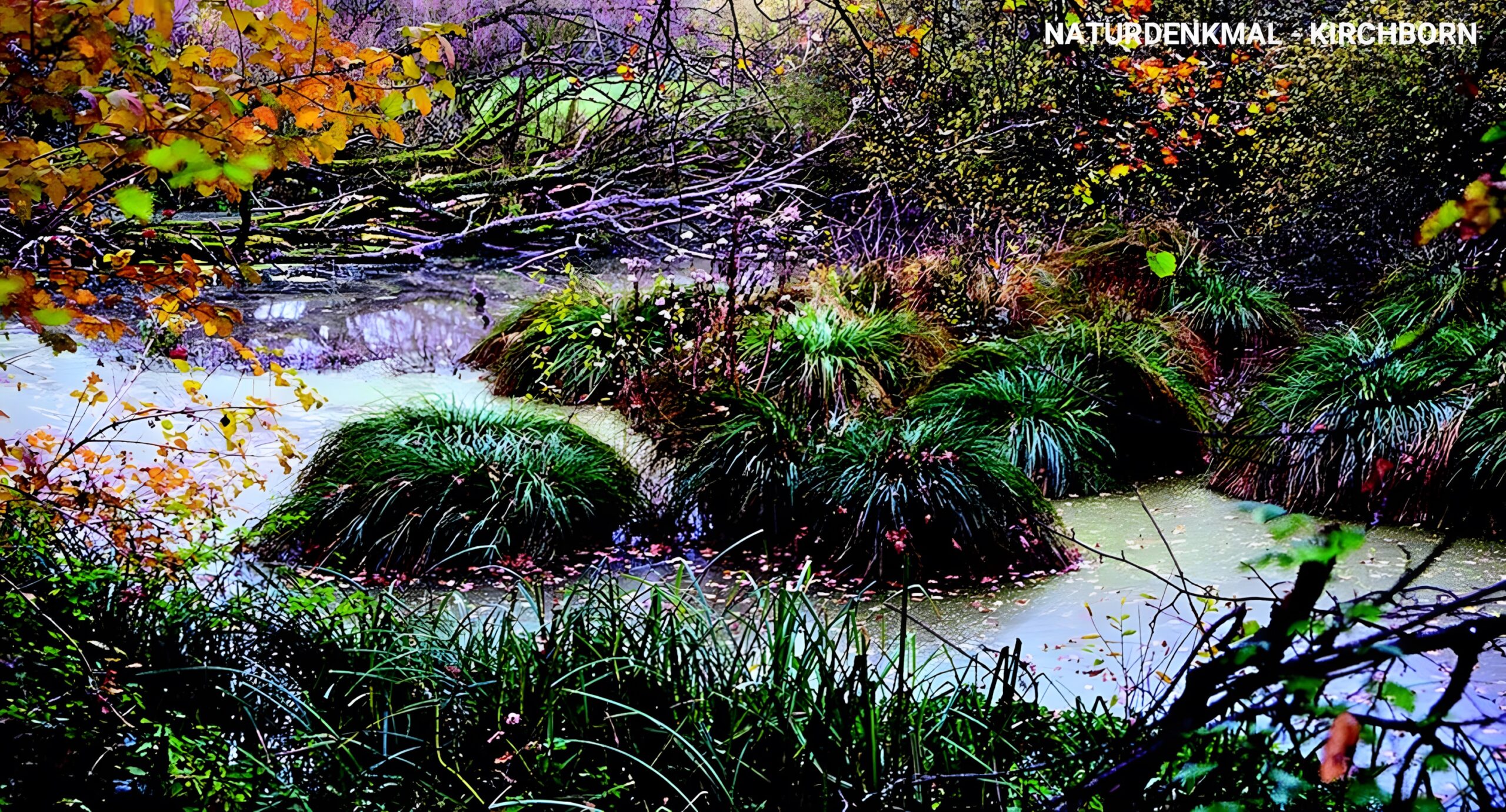 Naturdenkmal Kirchborn, Dreieich