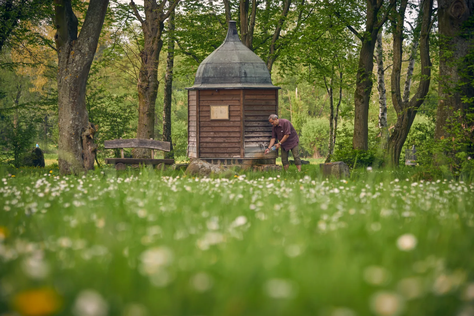 Tour 09: Wasservielfalt in der Wetterau