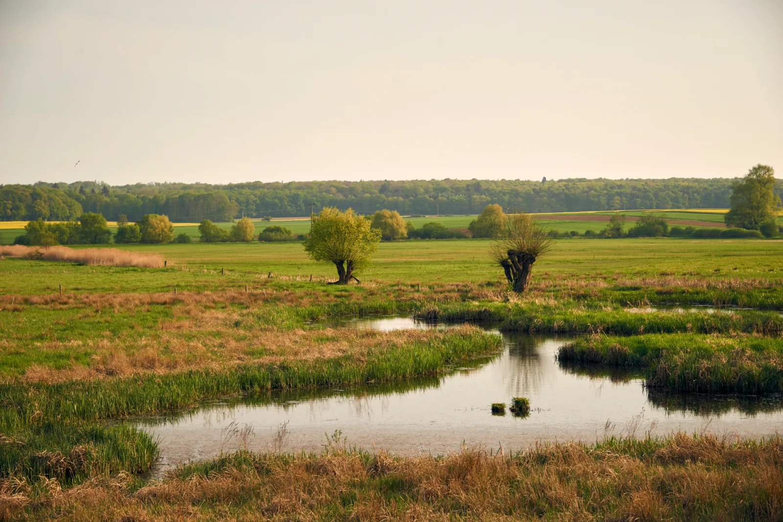 Zweckverband Regionalpark Niddaroute
