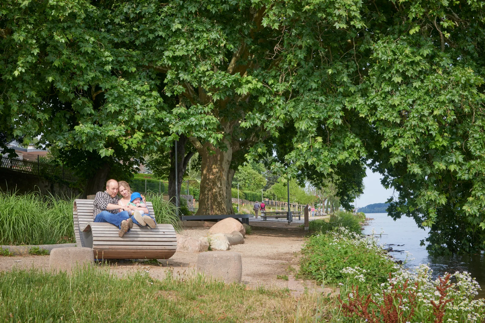 Nikolausquelle, Eltville