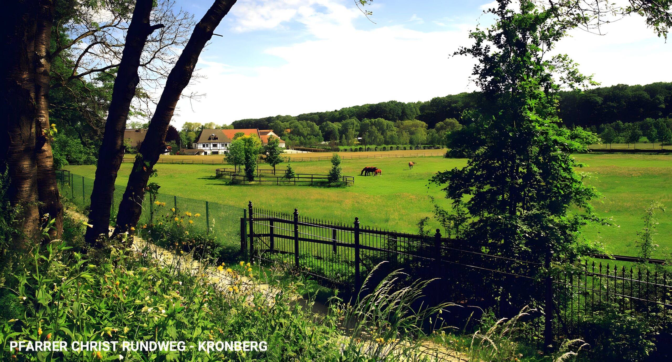 Pfarrer-Christ-Rundweg, Kronberg