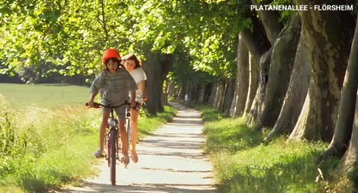 Platanenallee floersheim