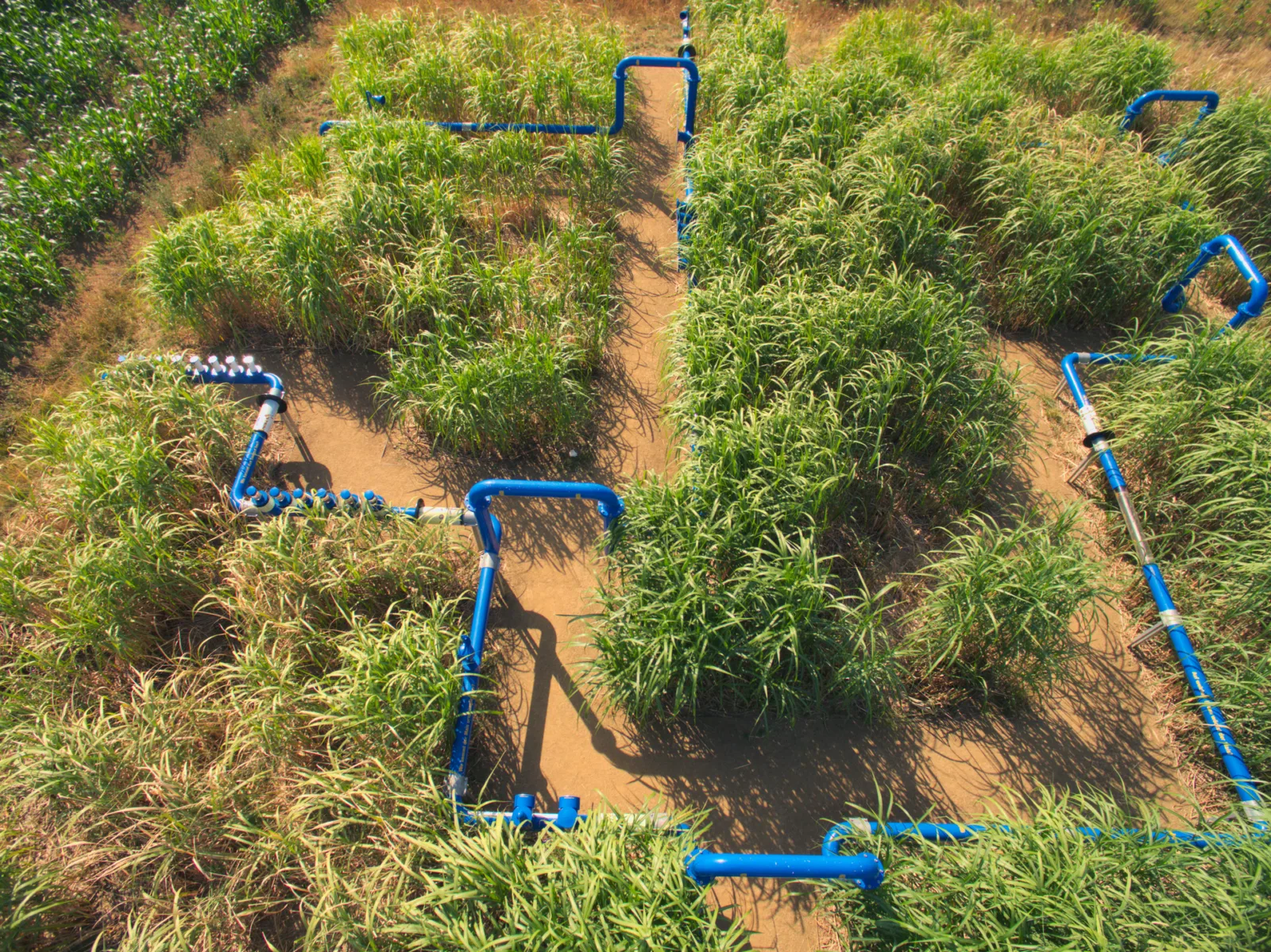 Agrar-Kultur-Achse Oberursel