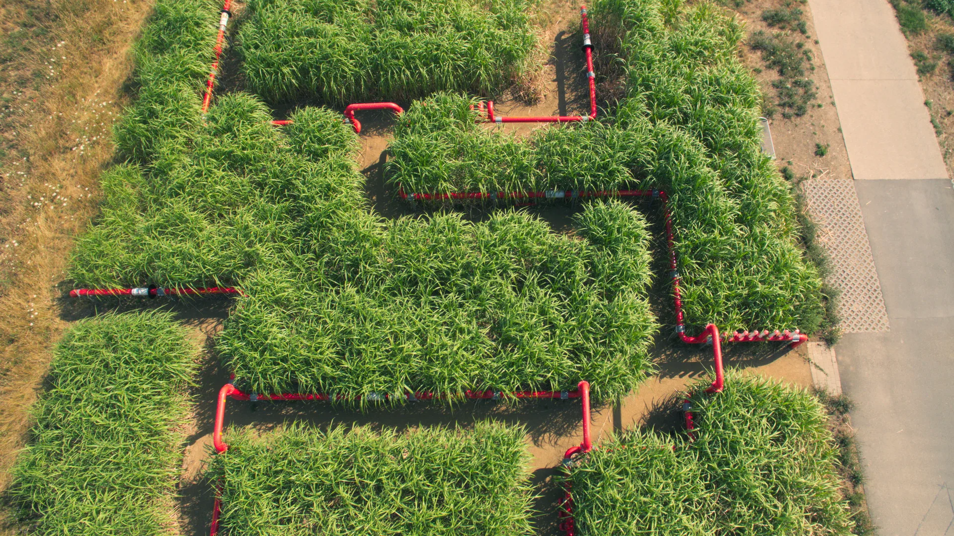 Rheinmain airpictures agrar kultur achse dji 0104 quer 1.jpg