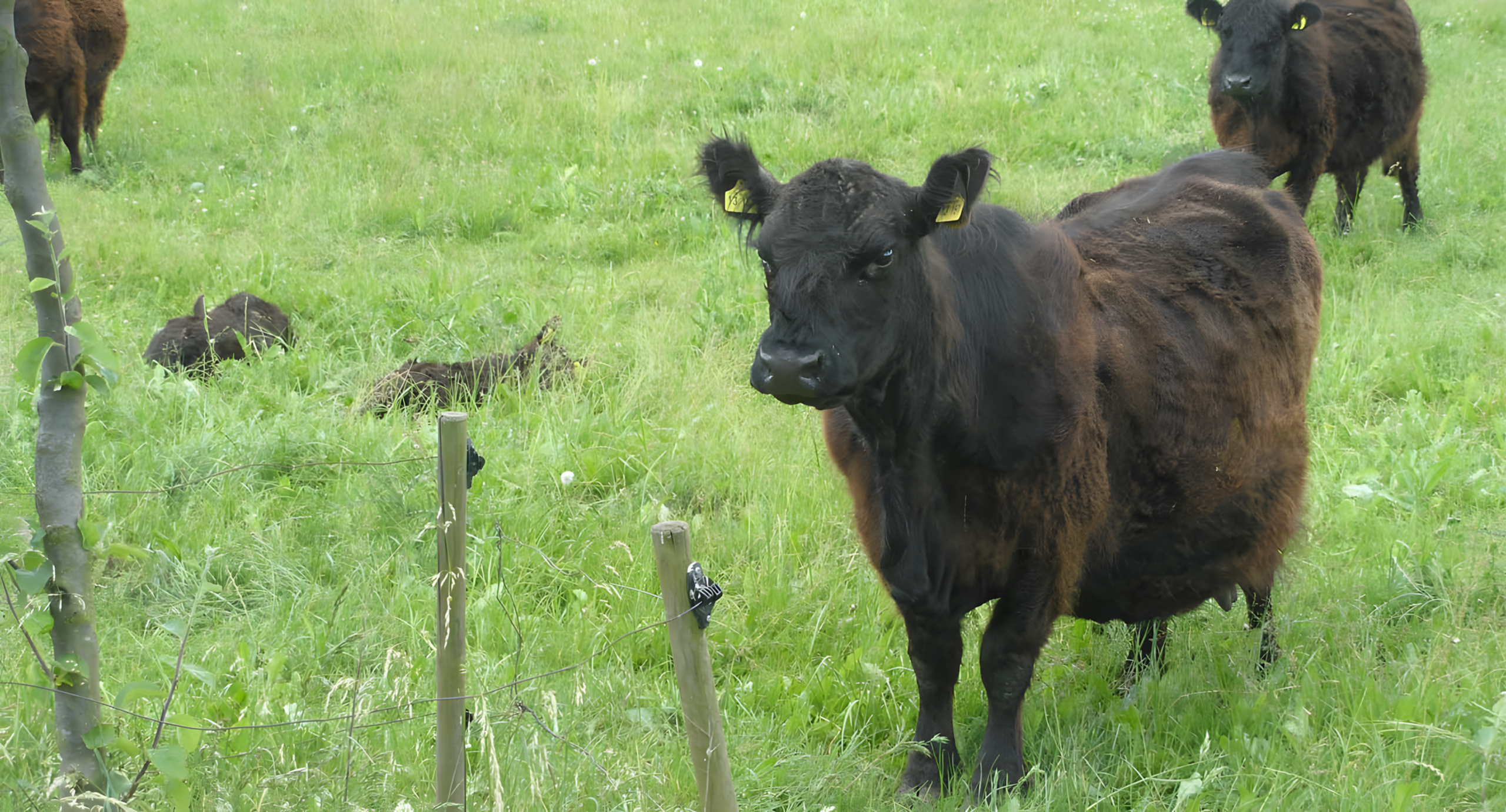 Röderhof3 hofstation