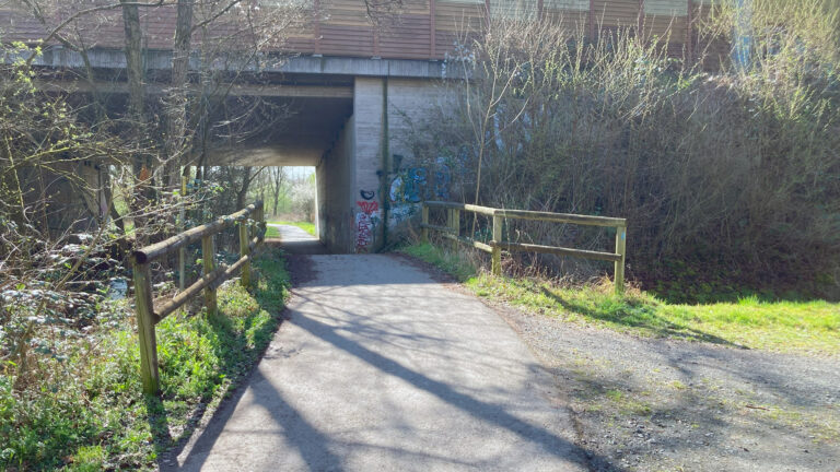 Romantischer garten3