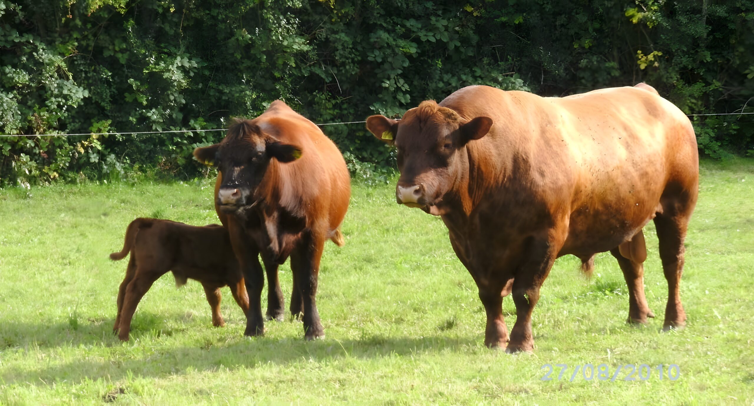 Hofstation Hof Schaar