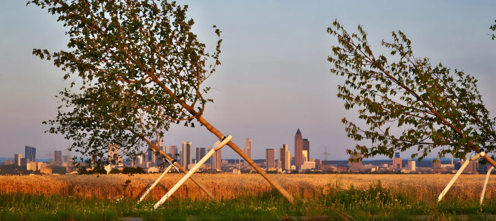 Tour 03: Kunstsafari für Groß und Klein