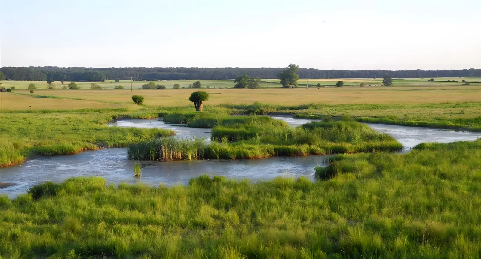 Am Mähried von Staden