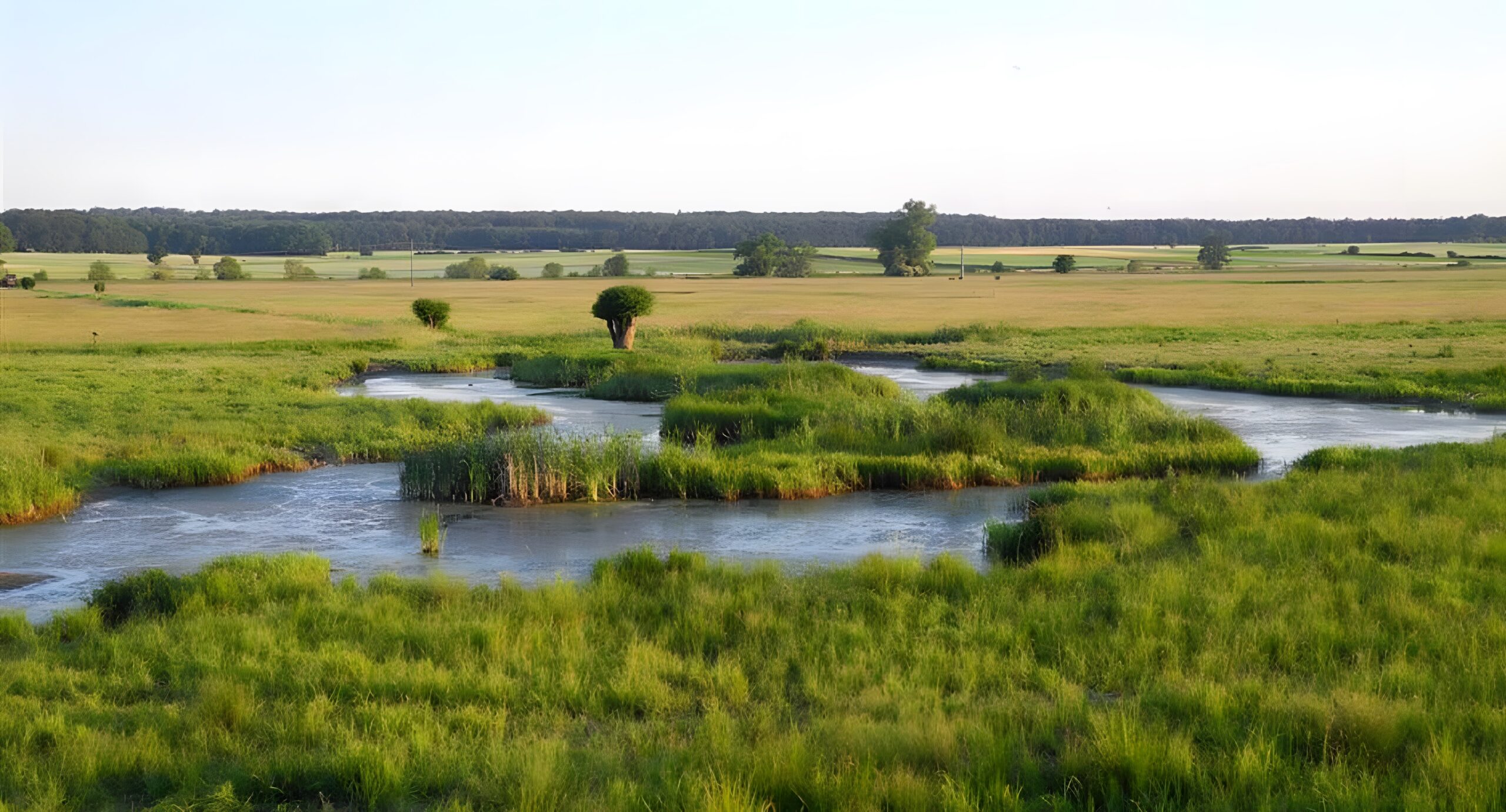 Am Mähried von Staden