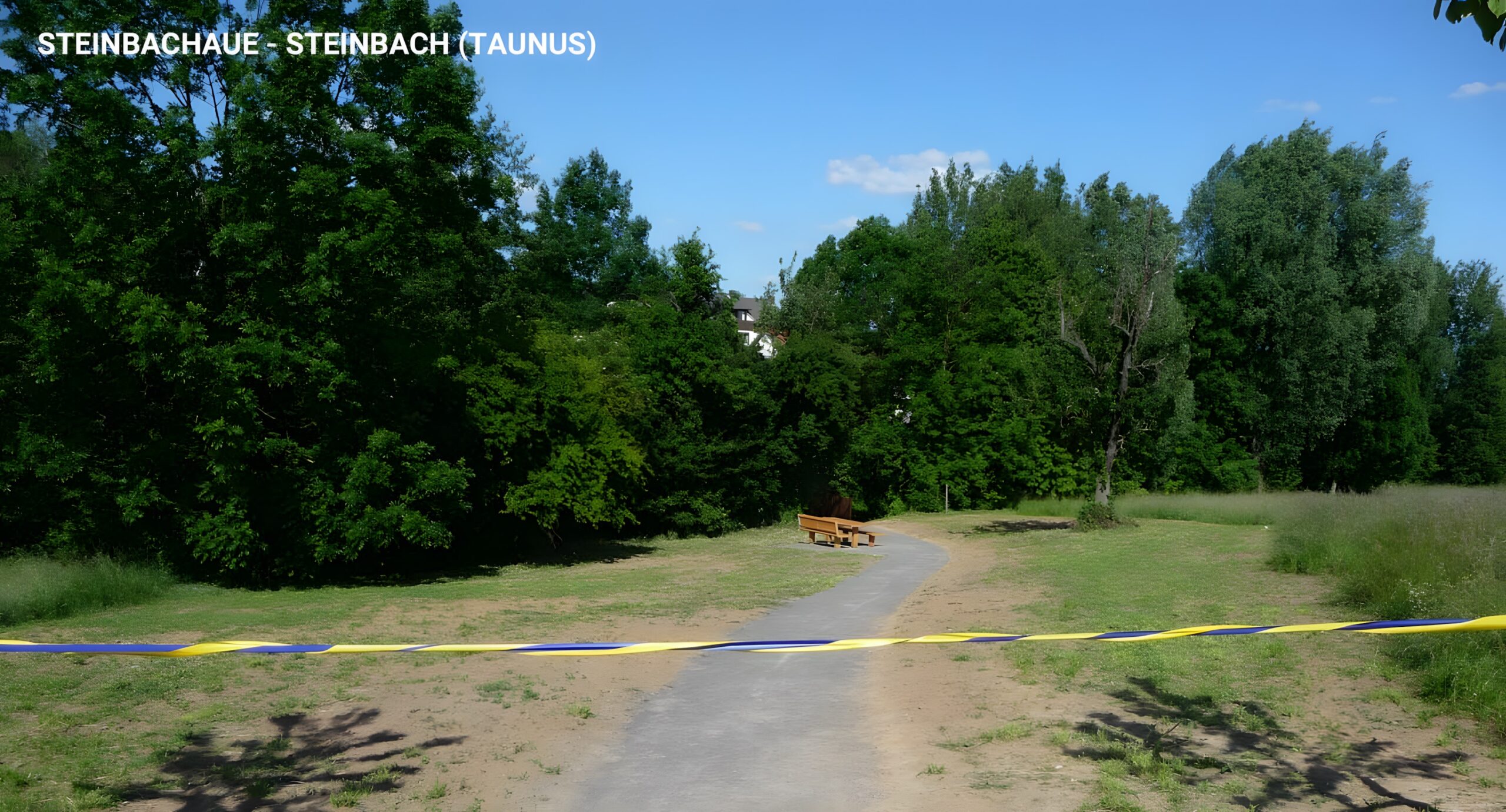 Steinbachaue Steinbach