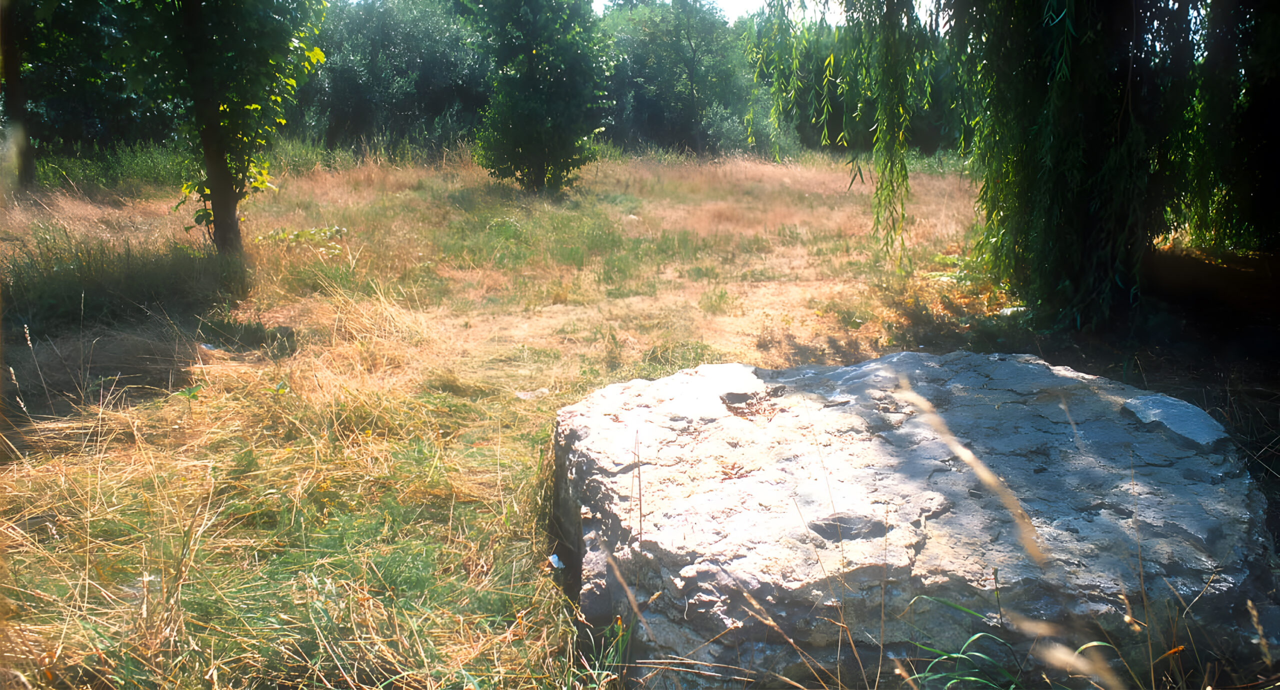 Steinplatte bischofsheim