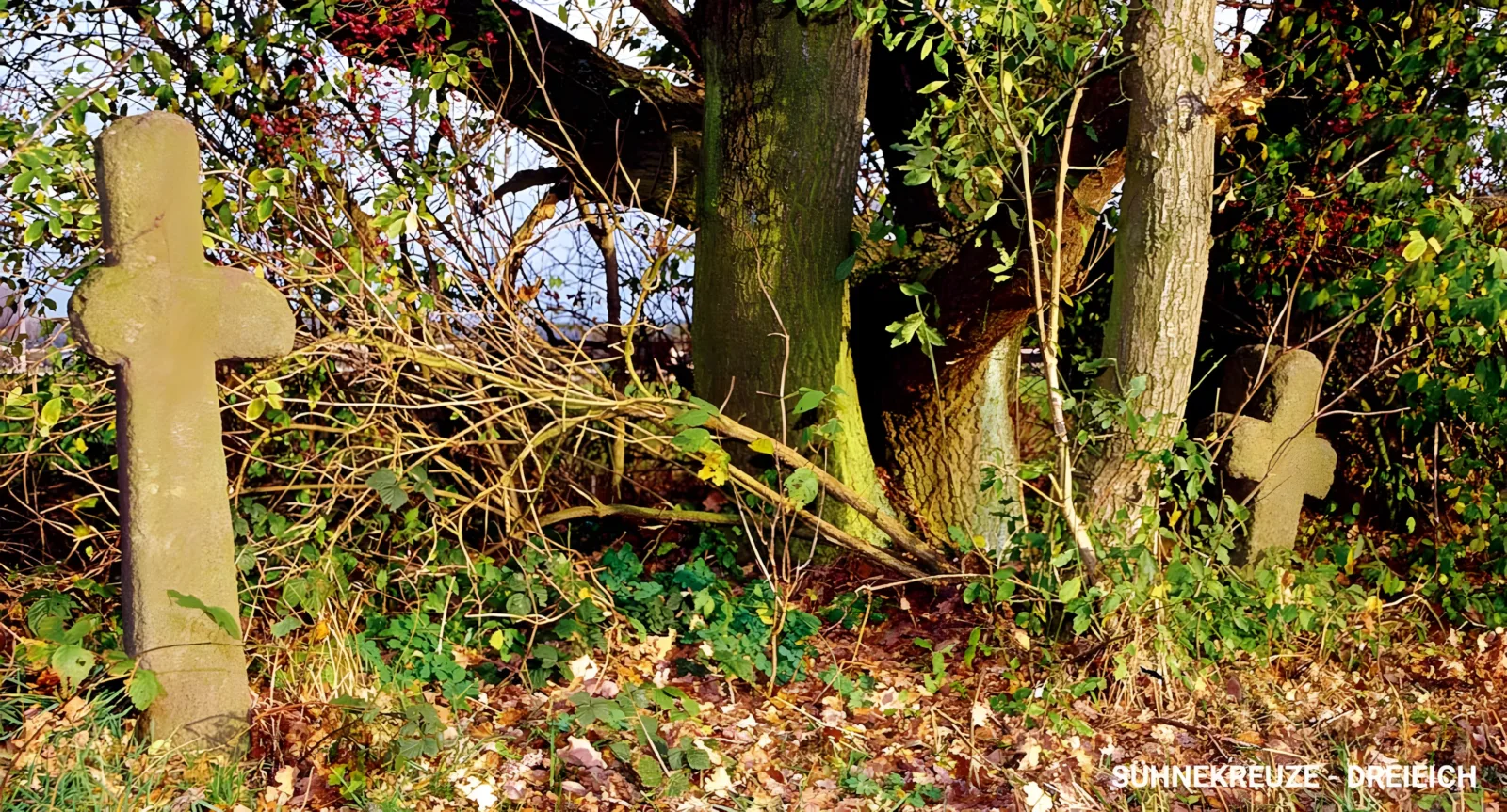 Mittelalterliche Sühnekreuze, Dreieich