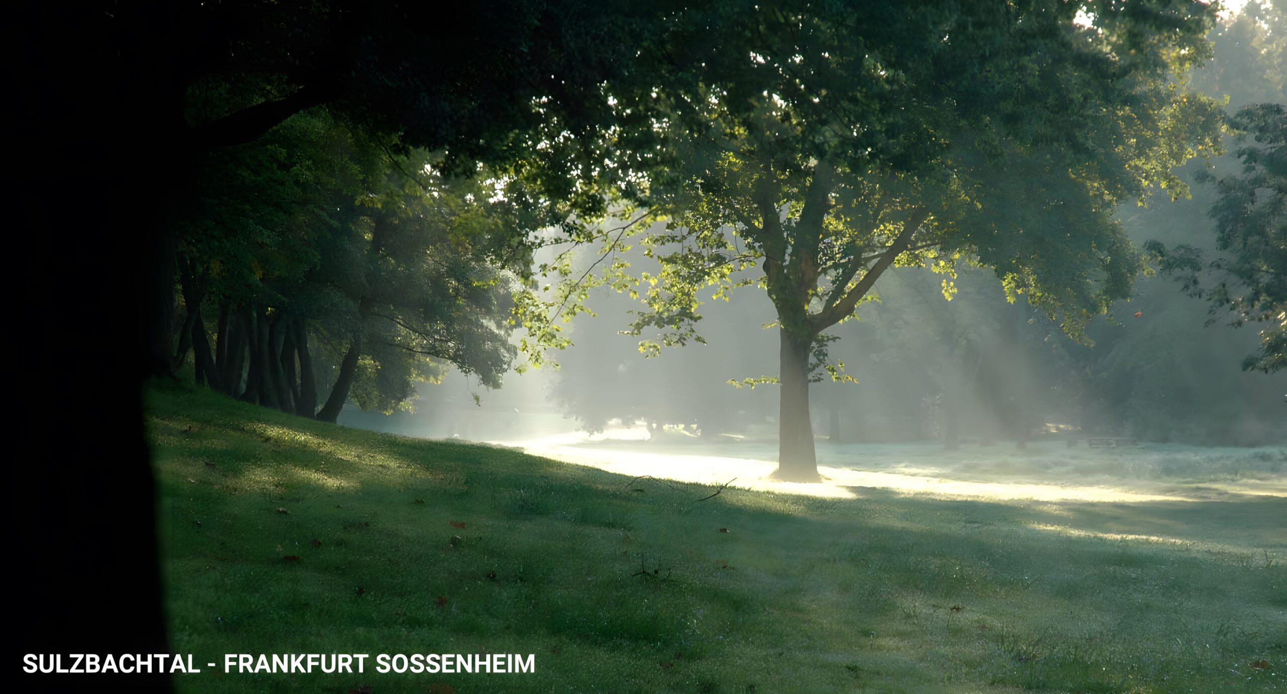 Sulzbachtal, Sossenheim