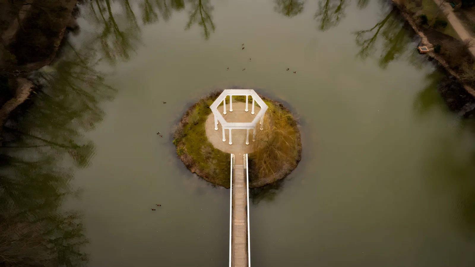 Der Kleine Tannenwald