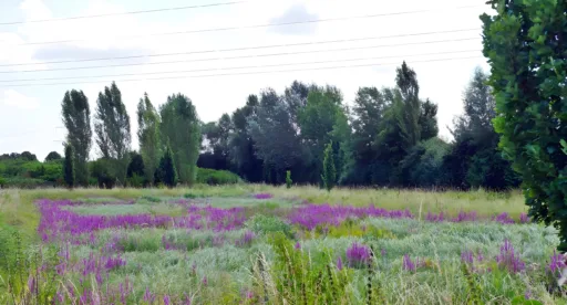 Taunengraben2 925x499