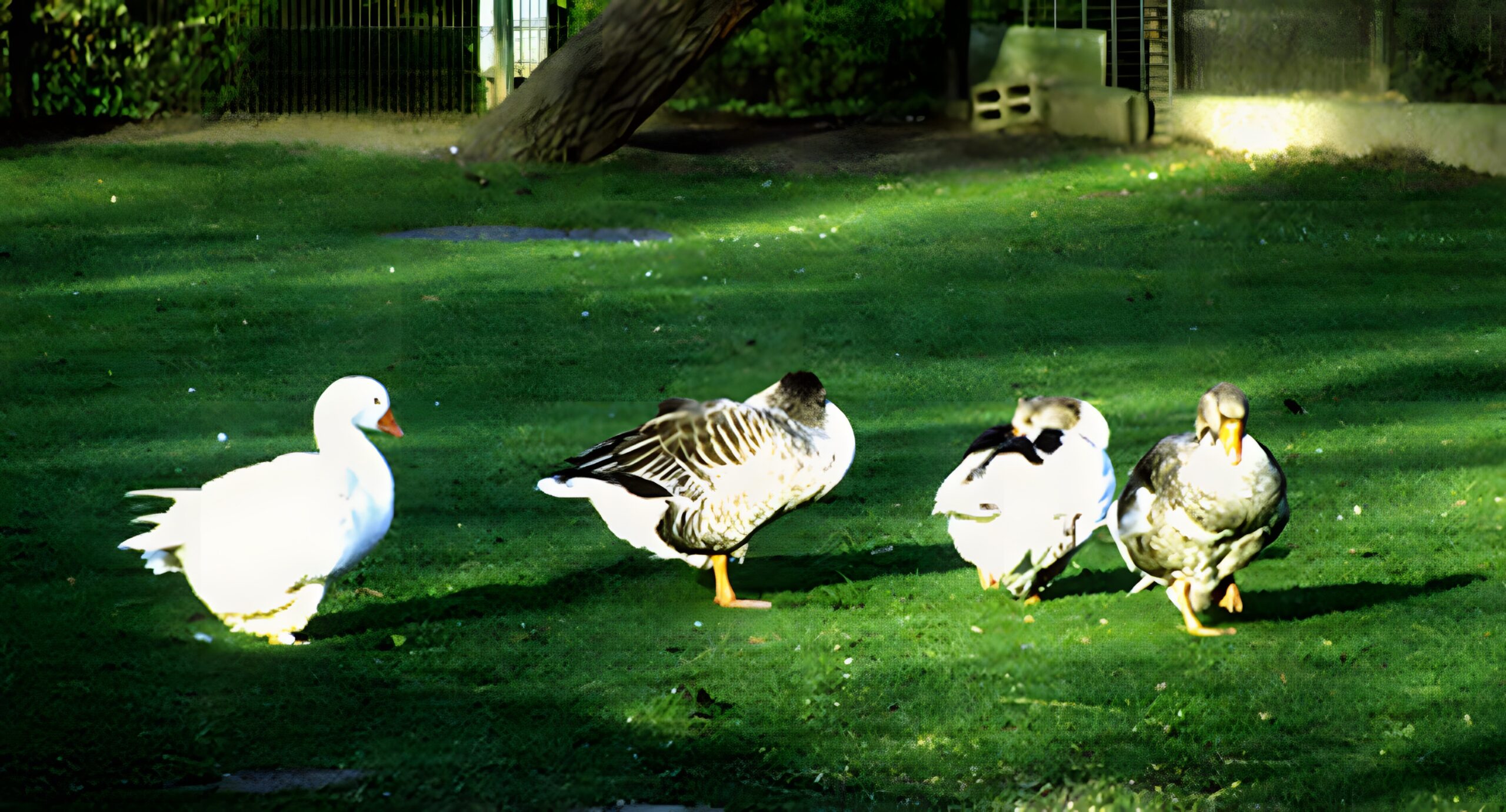 Das Tiergehege Hattersheim