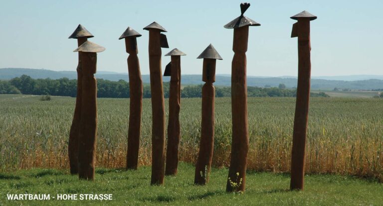 Wartbaum hohe straße1