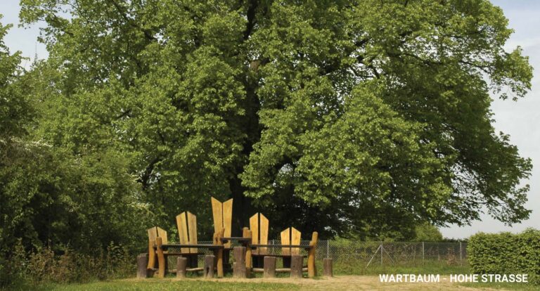 Wartbaum hohe straße3
