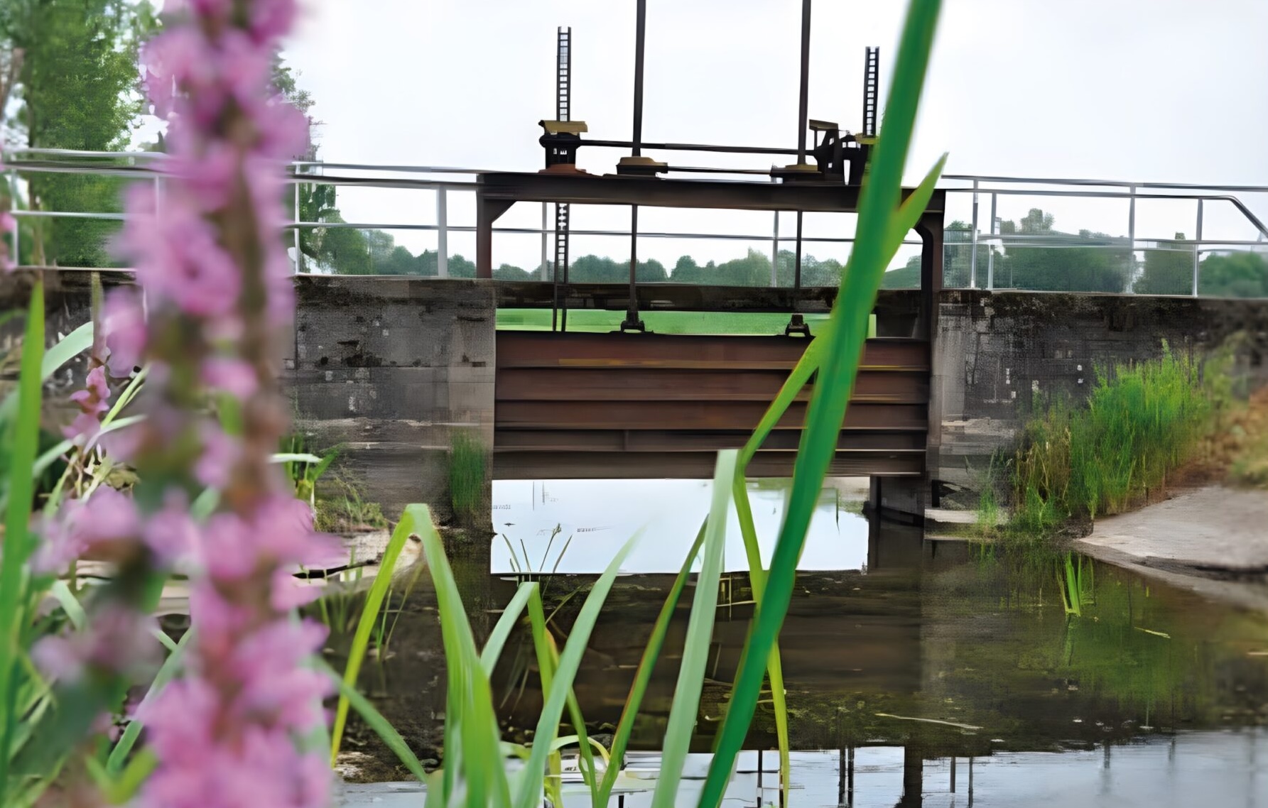 Wasserkreuzung scaled