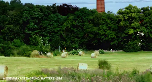 Wiese am kastengrund hattersheim