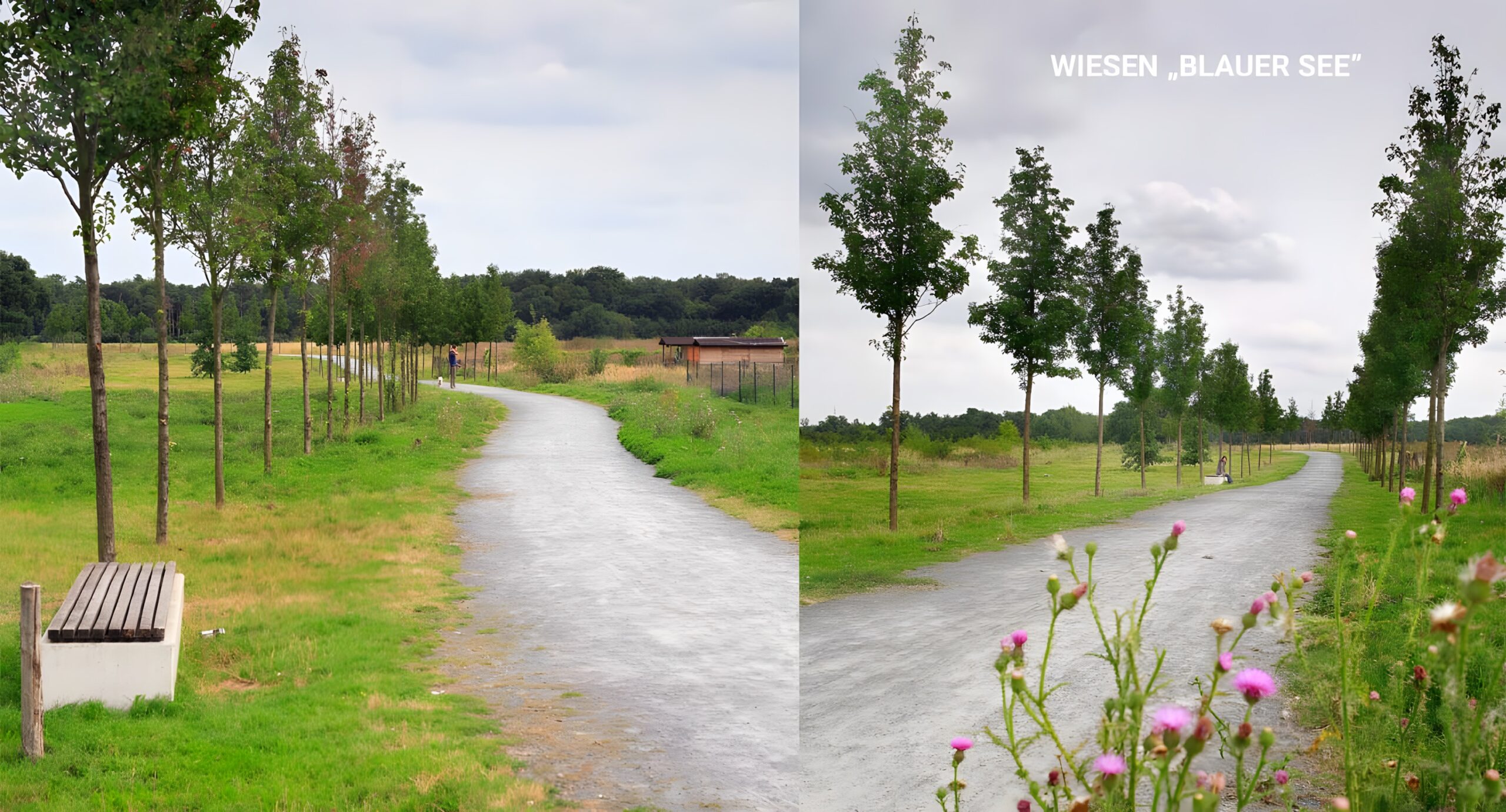 Wiesen „Blauer See“ Königstädten