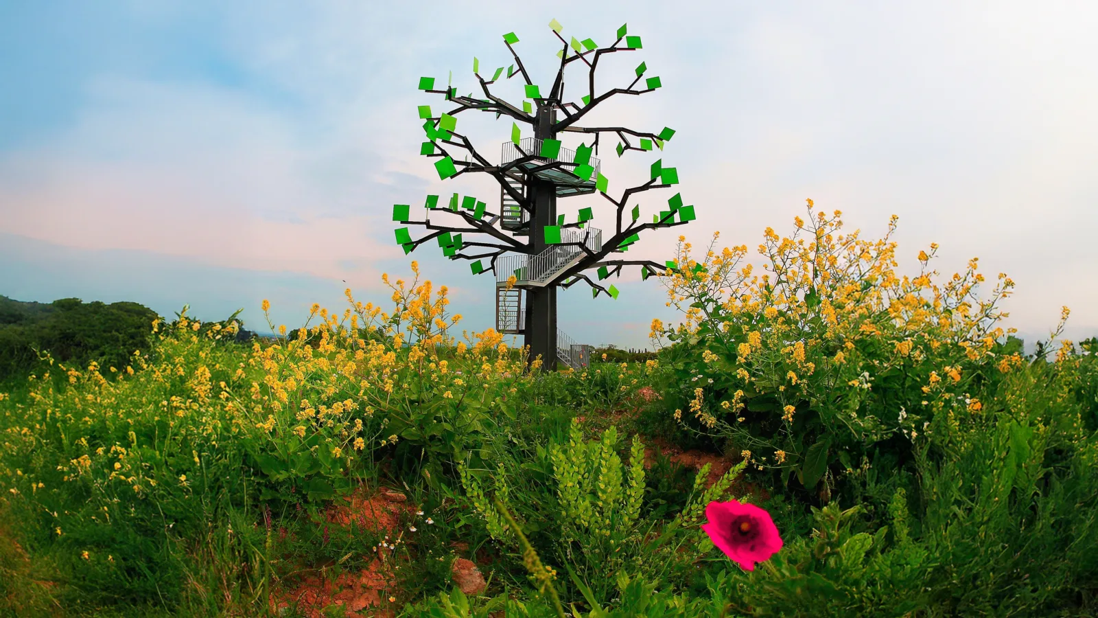 Tour 05: Mit allen Sinnen durch eine neue Landschaft