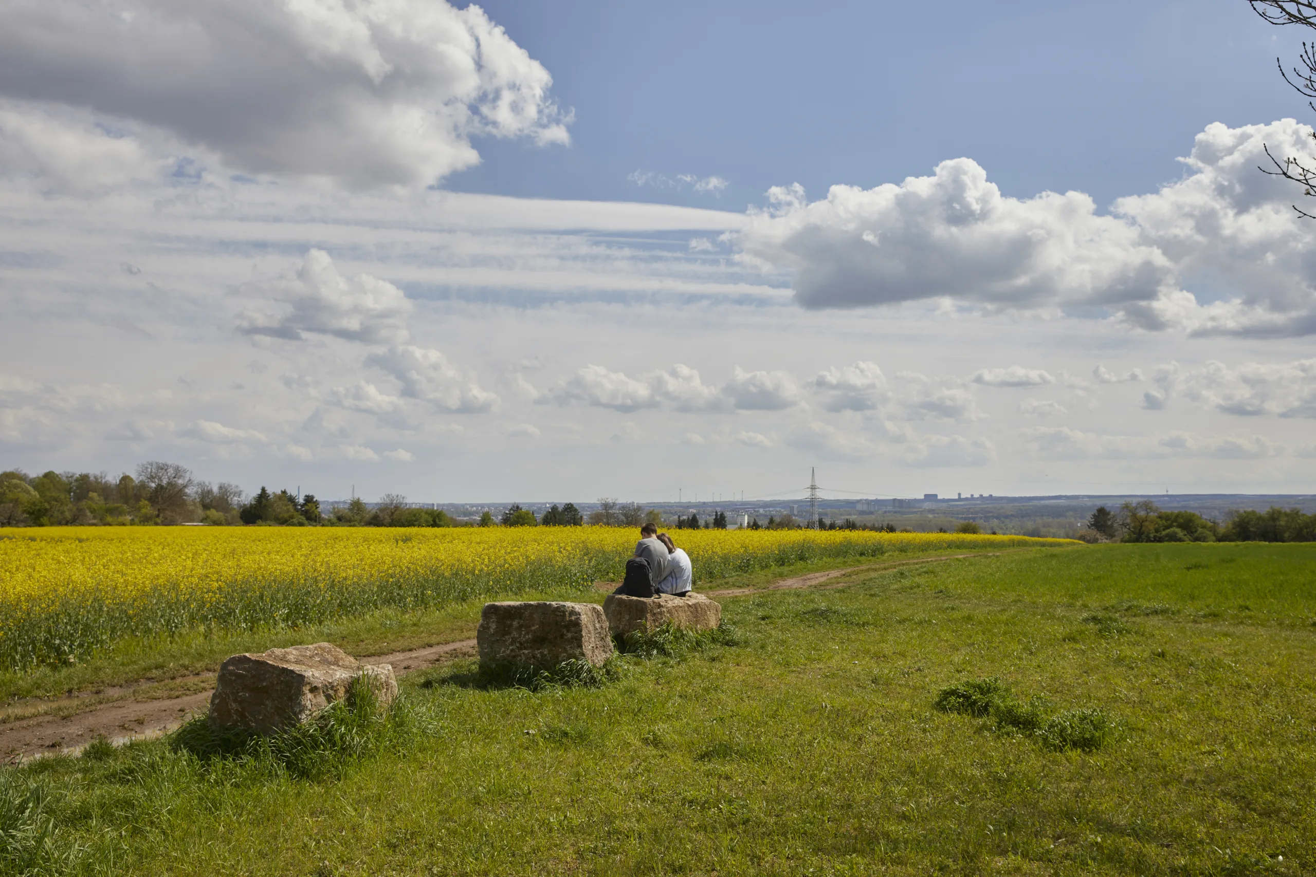 Regionalpark RM Gleisweg Sauerland SiedlungFreudenberg Hafendorf 42A2915