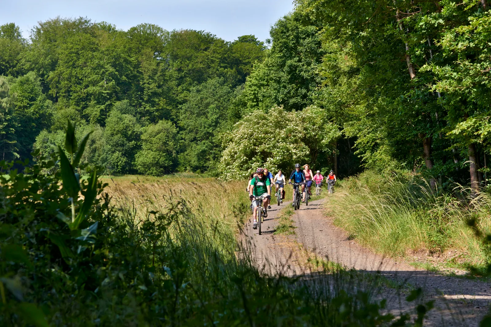 Tour 10: Weite Blicke auf alten Wegen