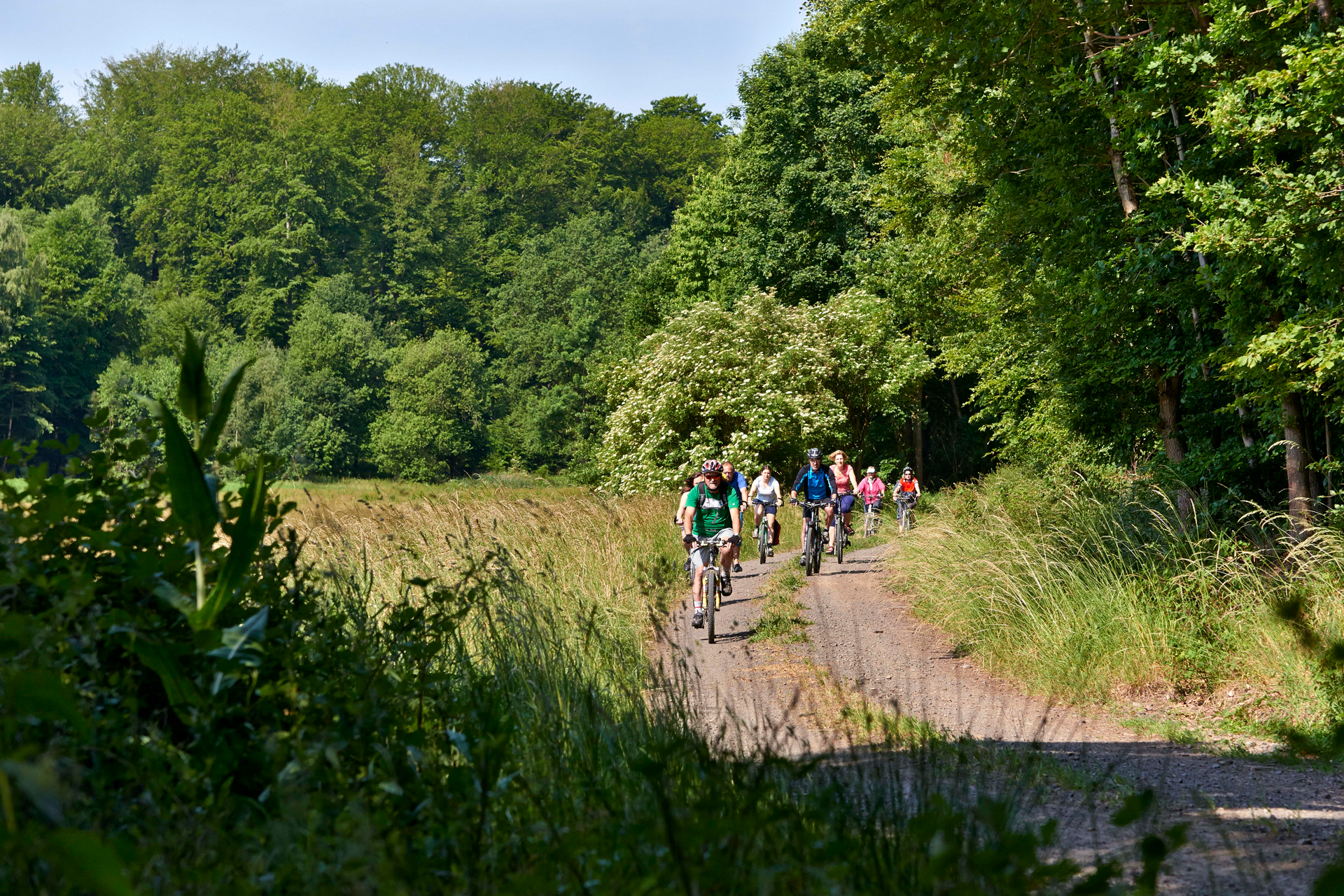 Buedingen radstefan cop hohe strasse